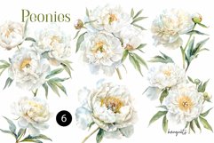 Romantic Watercolor White Peonies Clipart, Peony Bouquets Product Image 2