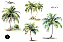 Watercolor Palms clipart png - Watercolor tropical clipart Product Image 2
