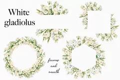 Watercolor Floral Clipart - Watercolor White Gladiolus Product Image 2