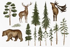 Watercolor Forest Digital Clipart Set - Forest landscape Product Image 11