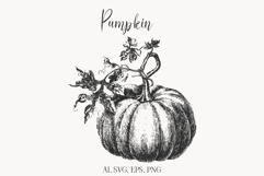 Vintage Pumpkin Illustration, Hand Drawn Fall Clipart Product Image 1