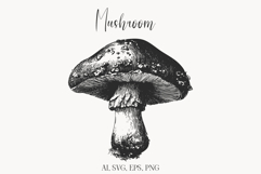 Vintage Mushroom Illustration Clipart | Botanical Fungi Product Image 1