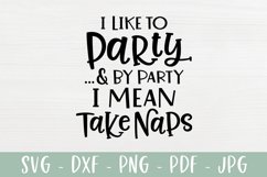 I Like To Party & By Party I Mean Take Naps - Funny SVG Product Image 2