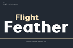 Flight Feather Product Image 2