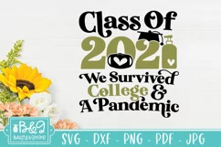 Class of 2021- Pandemic College Graduation SVG - We Survived Product Image 1