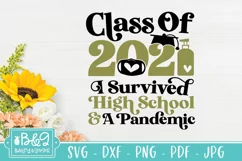 Class of 2021- Pandemic College Graduation SVG - I Survived Product Image 2