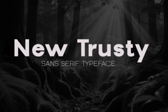 New Trusty Product Image 4