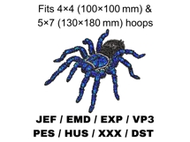 Electric Blue Earth Tiger Tarantula Product Image 2