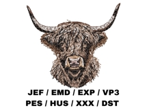 Highland Cow Product Image 2