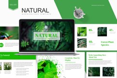 Natural - Google Slides Template Product Image 1