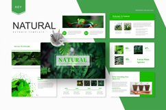 Natural - Keynote Template Product Image 1