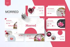 Morred - Keynote Template Product Image 1