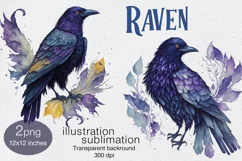 2 Raven - Halloween Birds Watercolor clipart,2 print designs Product Image 1