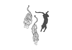 Wild Cats Product Image 3
