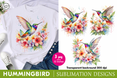 Rainbow Hummingbird sublimation print design PNG Product Image 1
