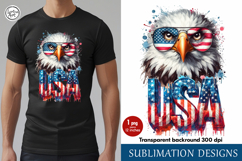 4th of July Eagle sublimation print design PNG Product Image 1