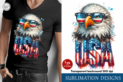 4th of July Eagle sublimation print design PNG Product Image 1