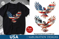 USA. Eagle. 4th of July. Sublimation design PNG Product Image 1