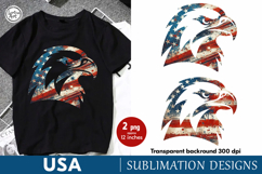 USA. Eagle. 4th of July. Sublimation design PNG Product Image 1