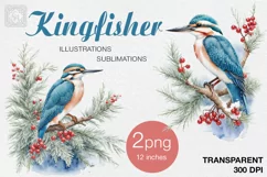 Watercolor Kingfisher cliparts. 2 PNG sublimation Product Image 1