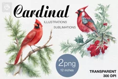 Watercolor Cardinal cliparts. 2 PNG sublimation Product Image 1