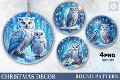 Christmas Decor | Cute Animals| Owl Product Image 1