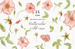 Pink Rosehip Floral Clipart Watercolor Botanical Set Product Image 1