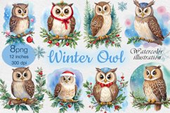 Watercolor winter Owls cliparts. 8 PNG sublimation Product Image 1