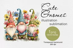 Cute Gnomes t-shirt sublimation print design png Product Image 1