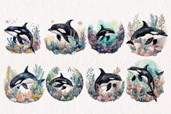 Orca Watercolor PNG Sublimation Bundle. PNG File Product Image 2