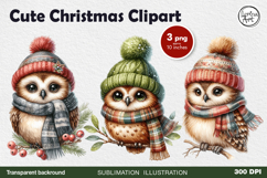 Cute Winter Owls. PNG sublimation Product Image 1