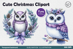 Cute Winter Owls. PNG sublimation Product Image 1