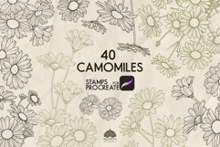 Camomile Procreate stamps Product Image 1