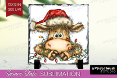 Cow Tangled In Christmas Lights Slate PNG Funny Xmas Square Product Image 1