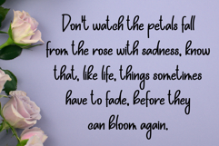 Cowboy Boomber Product Image 6