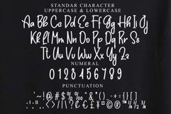 Cowboy Boomber Product Image 7