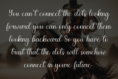 Cowboy Product Image 4