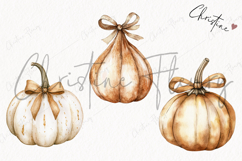 Cozy Fall Pumpkins | Fall PNG Product Image 3
