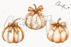 Cozy Fall Pumpkins | Fall PNG Product Image 3