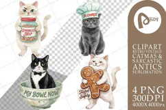 Cozy Kitchen Cookie Supervisor Cats Sublimation Product Image 1