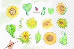 Watercolor Sunflower Cliparts, hand painted boho png 021 Product Image 3