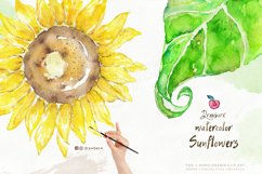 Watercolor Sunflower Cliparts, hand painted boho png 021 Product Image 2