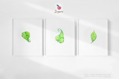 Watercolor Sunflower Cliparts, hand painted boho png 021 Product Image 8