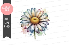 Colorful daisy with water droplets Product Image 1