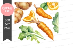 Assorted vegetables clipart png Product Image 1
