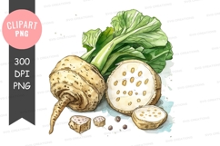 Fresh celery root clipart png Product Image 1