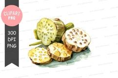 Lotus root clipart png Product Image 1