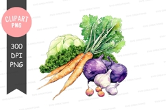 Fresh vegetables clipart png Product Image 1