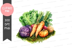 Fresh vegetables clipart png Product Image 1