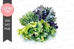 Assorted leafy greens clipart png Product Image 1
